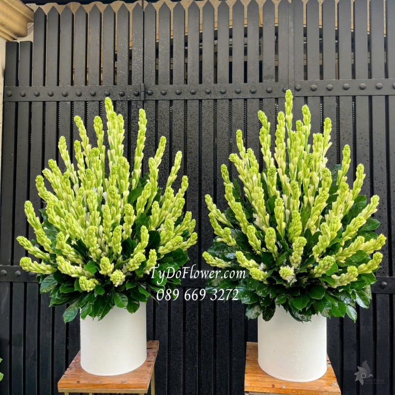 G0325326 MỘT CẶP 02 LẴNG HOA HUỆ TRẮNG Trang trí Gia Tiên, dâng lễ Phật