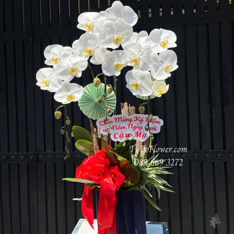 L0525364 CHẬU 03 CÀNH LAN HỒ ĐIỆP TRẮNG Hoa Chúc Mừng Kỷ Niệm Ngày Cưới Thiết kế Cây Xanh Tiểu Cảnh, Phụ Kiện Trang Trí Cao Cấp