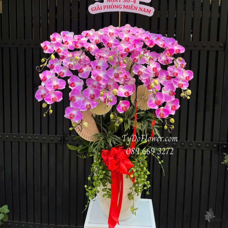 L0525365 CHẬU 12 CÀNH LAN HỒ ĐIỆP TÍM HỒNG Hoa Chúc Mừng Thiết kế Cây Xanh Tiểu Cảnh, Phụ Kiện Trang Trí Cao Cấp