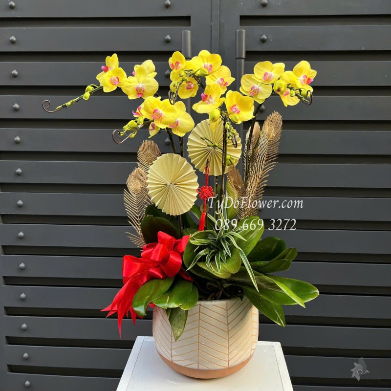 L0525366 CHẬU 05 CÀNH LAN HỒ ĐIỆP VÀNG Hoa Chúc Mừng Thiết kế Cây Xanh Tiểu Cảnh, Phụ Kiện Trang Trí Cao Cấp
