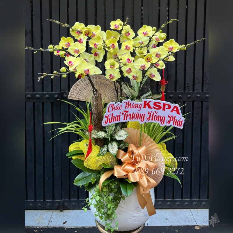 L0525367 CHẬU 10 CÀNH LAN HỒ ĐIỆP VÀNG Hoa Chúc Mừng Khai Trương Hồng Phát Thiết kế Cây Xanh Tiểu Cảnh, Phụ Kiện Trang Trí Cao Cấp