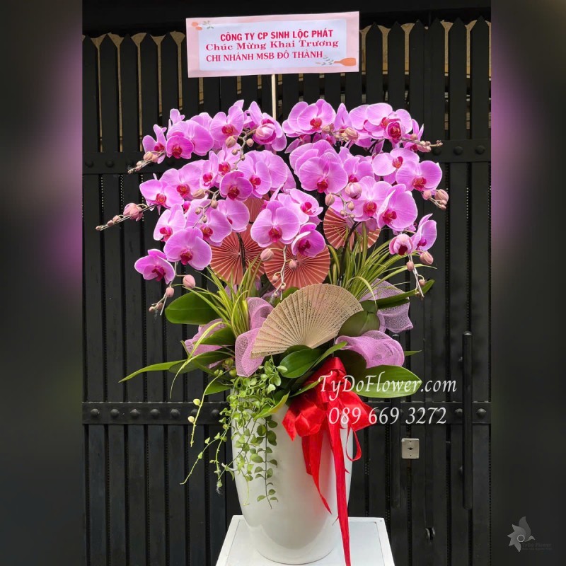 L0525369 CHẬU 11 CÀNH LAN HỒ ĐIỆP TÍM HỒNG Hoa Chúc Mừng Khai Trương Hồng Phát Thiết kế Cây Xanh Tiểu Cảnh, Phụ Kiện Trang Trí Cao Cấp