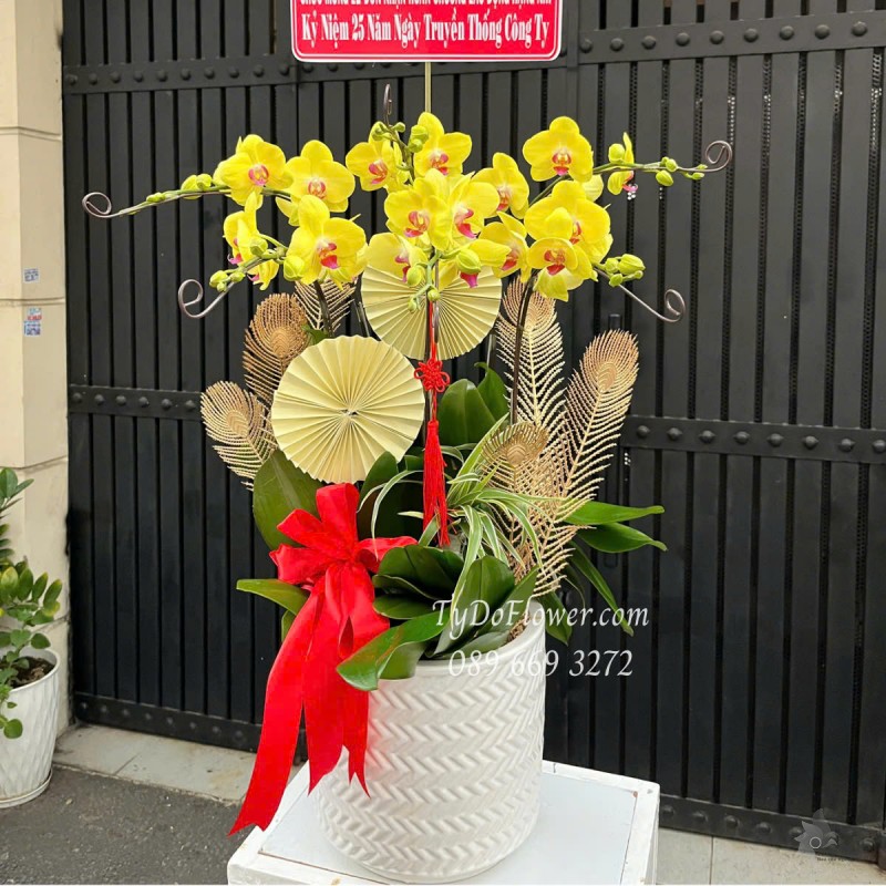 L0525408 CHẬU 06 CÀNH LAN HỒ ĐIỆP VÀNG Hoa Chúc Mừng Thiết kế Cây Xanh Tiểu Cảnh, Phụ Kiện Trang Trí Cao Cấp