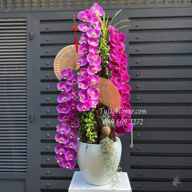 L0525409 CHẬU LAN HỒ ĐIỆP TÍM Hoa Chúc Mừng Thiết kế Cây Xanh Tiểu Cảnh, Phụ Kiện Trang Trí Cao Cấp