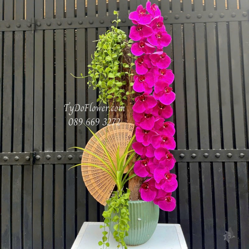 L0525412 CHẬU LAN HỒ ĐIỆP TÍM Hoa Chúc Mừng Thiết kế Cây Xanh Tiểu Cảnh, Phụ Kiện Trang Trí Cao Cấp