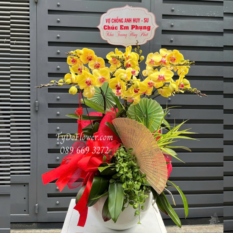 L0525410 CHẬU 06 CÀNH LAN HỒ ĐIỆP VÀNG Hoa Chúc Mừng Khai Trương Hồng Phát Thiết kế Cây Xanh Tiểu Cảnh, Phụ Kiện Trang Trí Cao Cấp