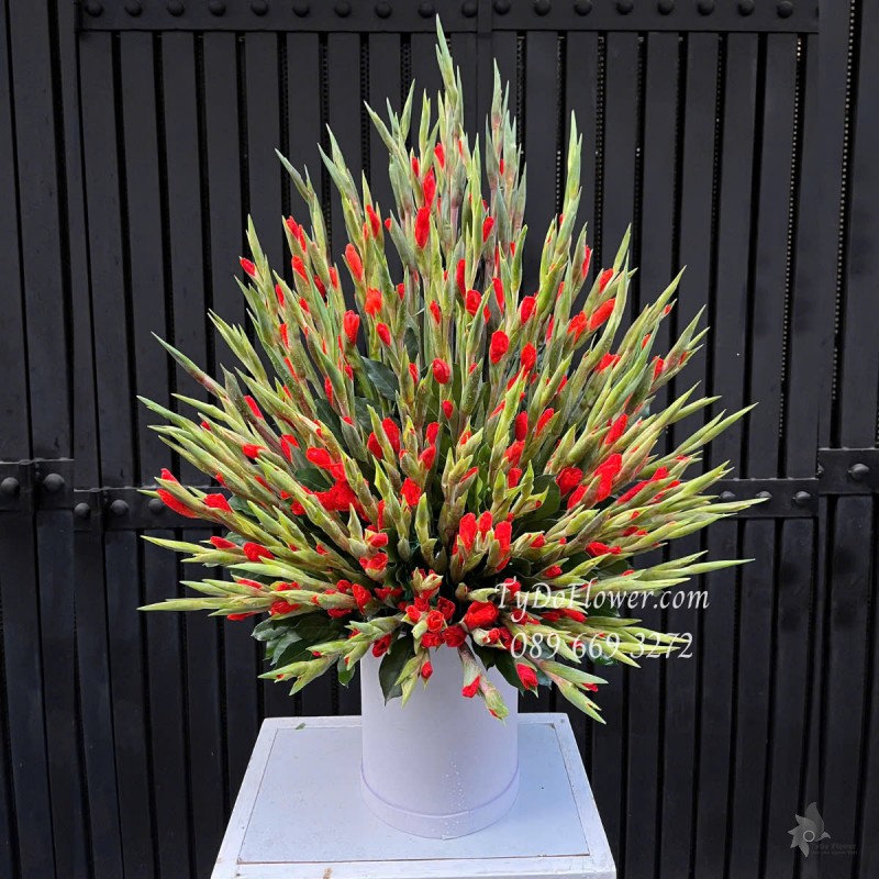 G0525419 GIỎ HOA HUỆ ĐỎ LAY ƠN DƠN ĐỎ Hoa Chúc Mừng, Hoa Dâng Lễ