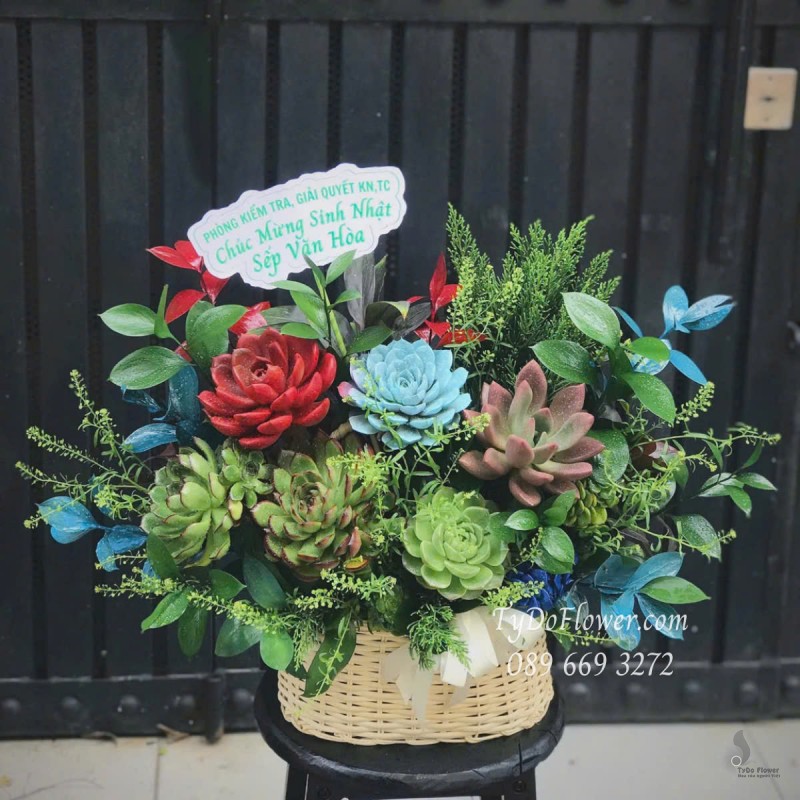 G0525429 GIỎ HOA SEN ĐÁ Chúc Mừng Sinh Nhật Sếp