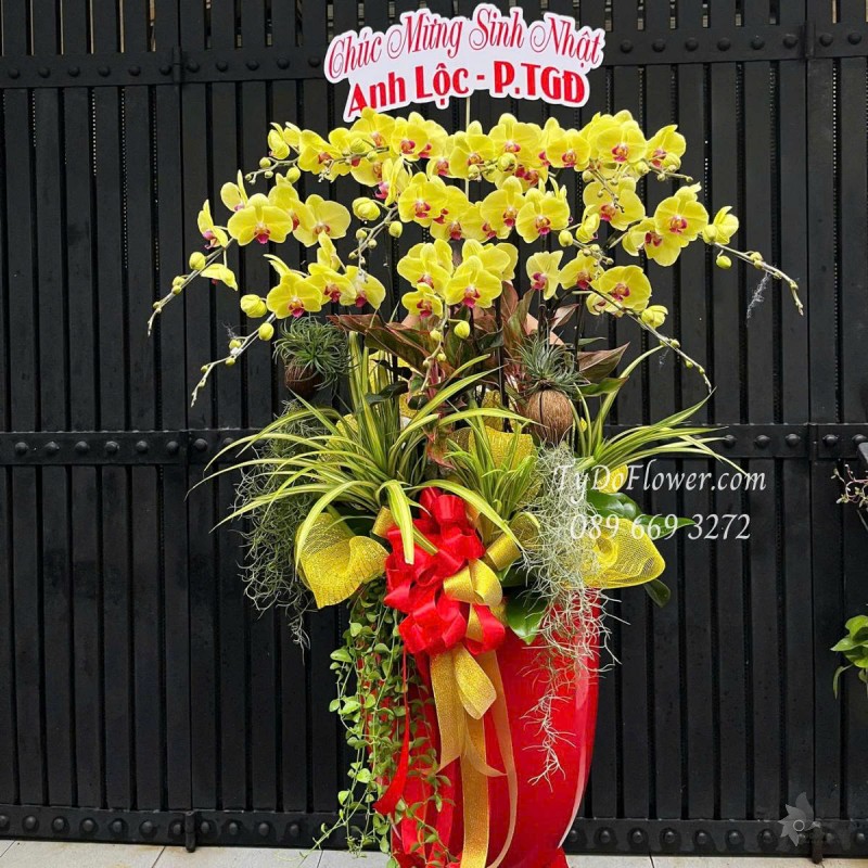 L0625446 CHẬU 12 CÀNH LAN HỒ ĐIỆP VÀNG Hoa Chúc Mừng Sinh Nhật Thiết kế cây xanh tiểu cảnh, phụ kiện trang trí cao cấp