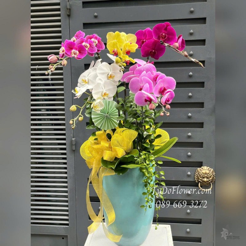 L0625478 CHẬU 5 CÀNH LAN HỒ ĐIỆP NGŨ SẮC Thiết kế cây xanh tiểu cảnh, phụ kiện trang trí cao cấp