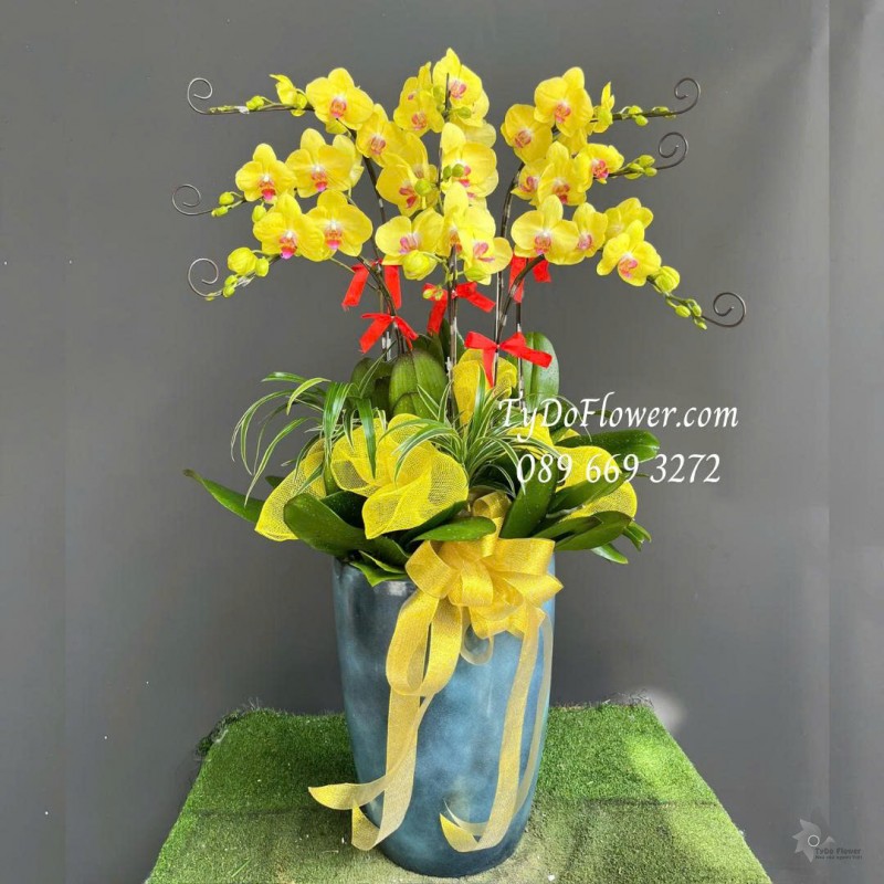 L0725512 CHẬU 9 CÀNH LAN HỒ ĐIỆP VÀNG Thiết kế cây xanh tiểu cảnh, phụ kiện trang trí cao cấp