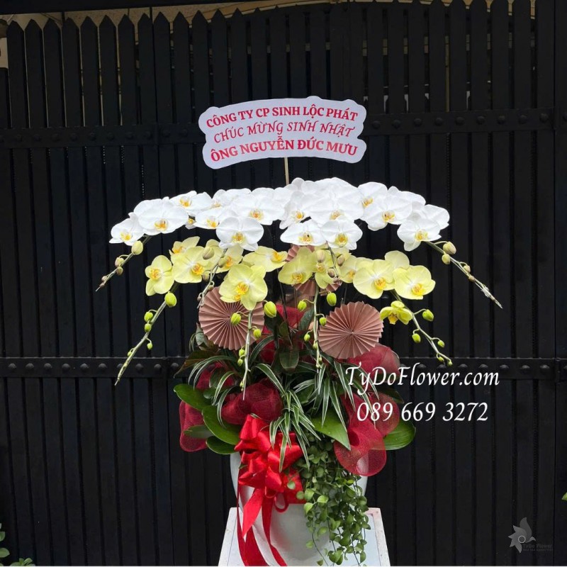 L0725514 CHẬU 8 CÀNH LAN HỒ ĐIỆP TRẮNG VÀNG Thiết kế cây xanh tiểu cảnh phụ kiện trang trí cao cấp