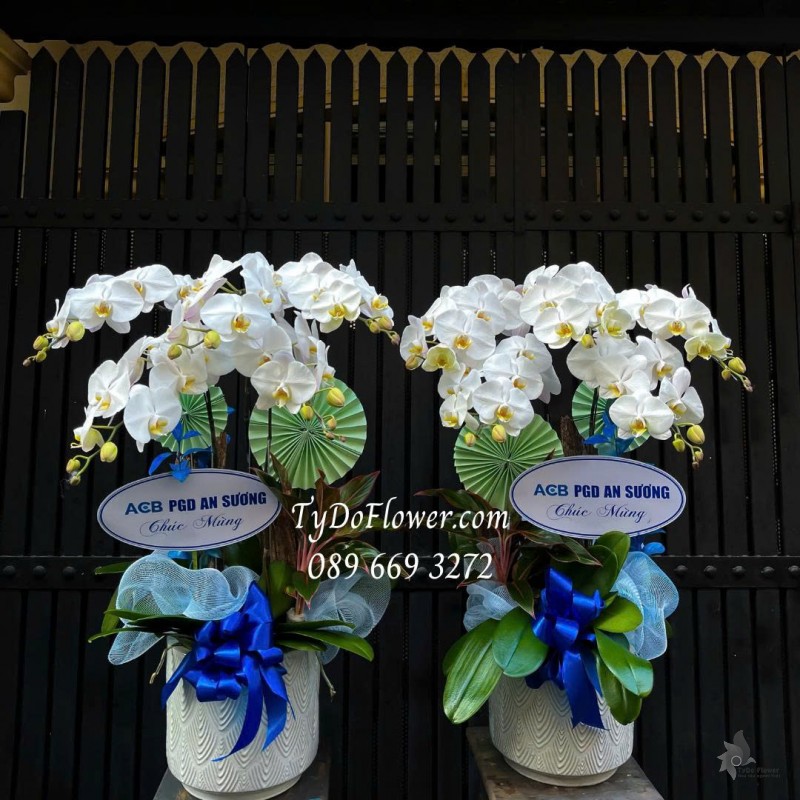 L07255161 MỘT CẶP CHẬU 05 CÀNH LAN HỒ ĐIỆP TRẮNG Thiết kế cây xanh tiểu cảnh, phụ kiện trang trí cao cấp