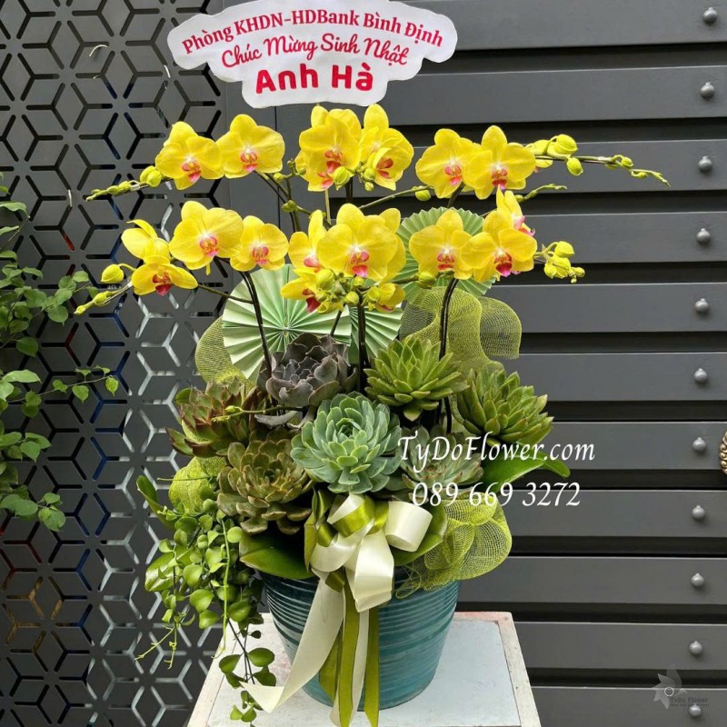 L0825596 CHẬU 06 CÀNH LAN HỒ ĐIỆP VÀNG Thiết kế cây xanh tiểu cảnh, hoa sen đá, phụ kiện trang trí cao cấp