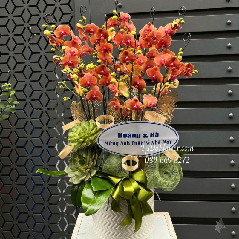 L0825765 CHẬU 15 CÀNH LAN HỒ ĐIỆP ĐỎ CAM Hoa Chúc Mừng Tân Gia Thiết kế hoa sen đá, phụ kiện trang trí cao cấp