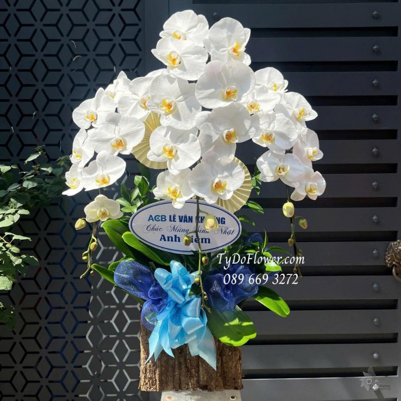 L0825768 CHẬU 03 CÀNH LAN HỒ ĐIỆP TRẮNG Hoa Chúc Mừng Sinh Nhật Thiết kế phụ kiện trang trí cơ bản