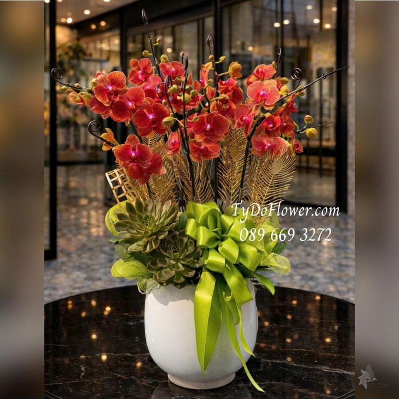 L0126003 CHẬU 10 CÀNH LAN HỒ ĐIỆP ĐỎ Thiết kế Hoa Sen Đá và phụ kiện trang trí cao cấp