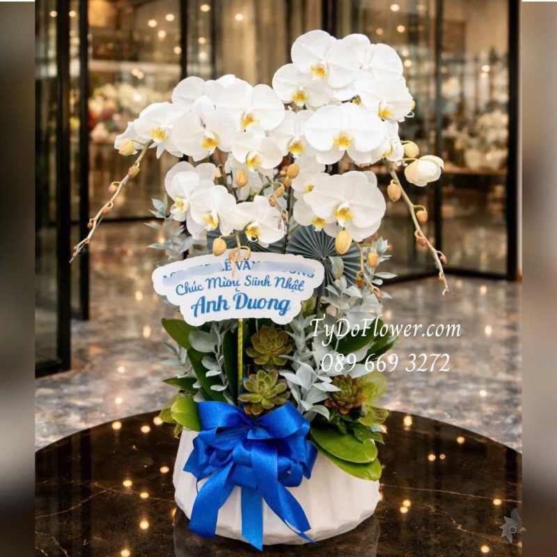 L0126007 CHẬU 06 CÀNH LAN HỒ ĐIỆP TRẮNG Thiết kế Hoa Sen Đá và phụ kiện trang trí cao cấp