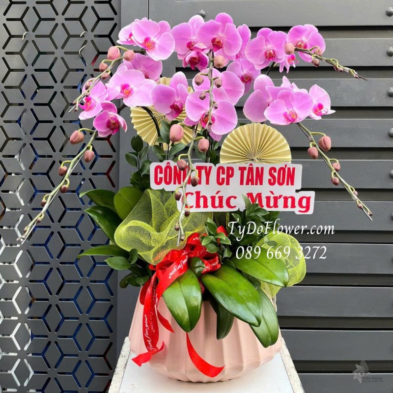 L0126038 CHẬU 06 CÀNH LAN HỒ ĐIỆP HỒNG Thiết kế phụ kiện trang trí