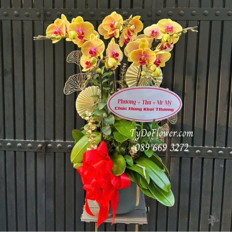 L0226080 CHẬU 05 CÀNH LAN HỒ ĐIỆP VÀNG Thiết kế phụ kiện trang trí cao cấp