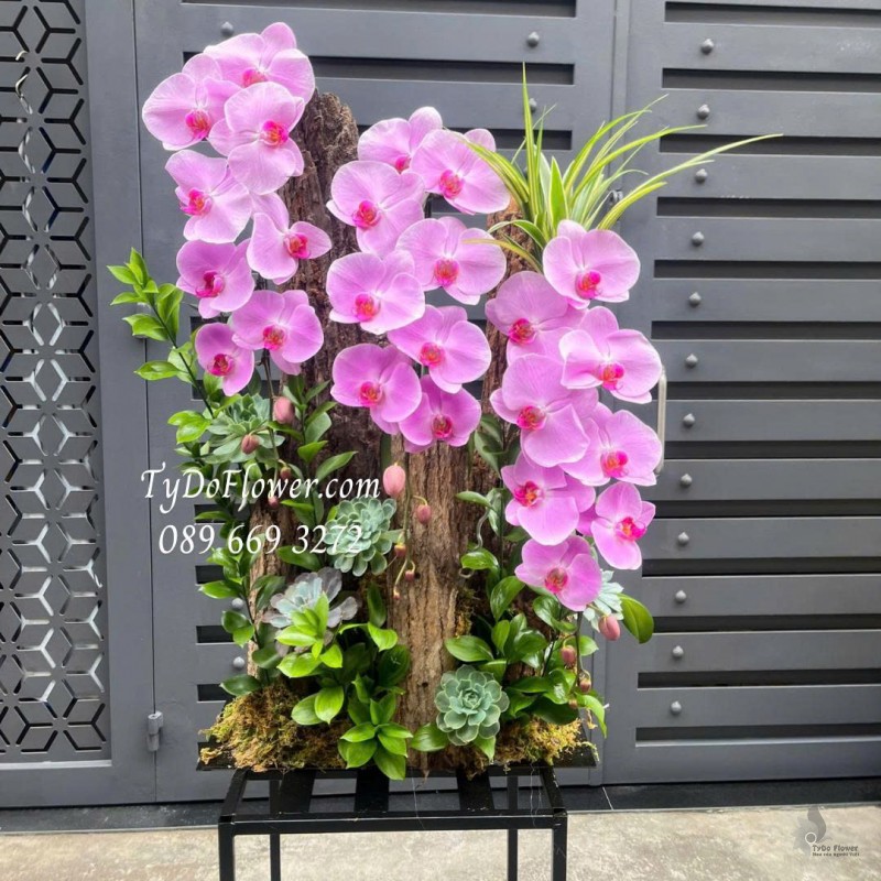 L0226137 HỒ ĐIỆP HỒNG THIẾT KẾ GỖ LŨA SEN ĐÁ CÂY XANH TIỂU CẢNH CAO CẤP