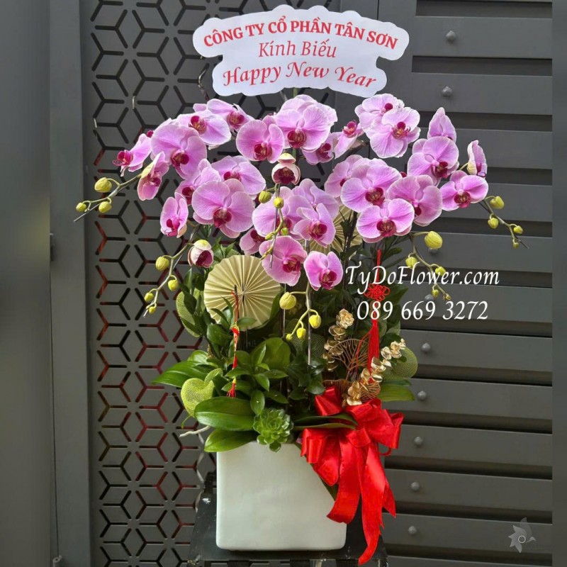 L0226200 CHẬU 06 CÀNH LAN HỒ ĐIỆP HỒNG Thiết kế hoa sen đá, phụ kiện trang trí cao cấp